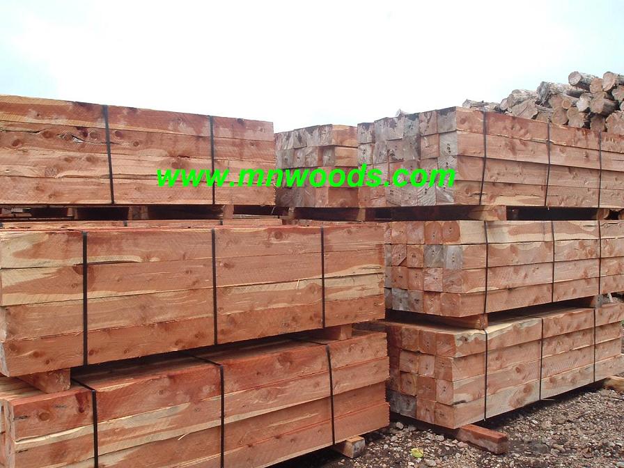 �t��ɼ��Ԕ��(x��)��B