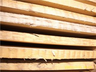 �c���鿴��ľ�Ŵ�DƬ