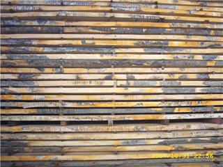 �c���鿴��ľ�Ŵ�DƬ