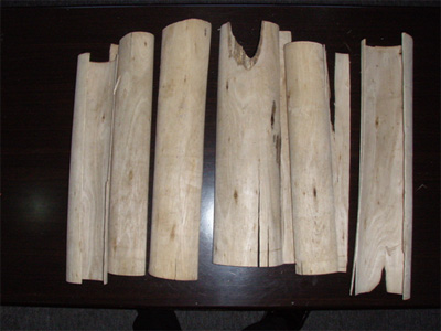 �c(di��n)���鿴��ľ������Ŵ�DƬ