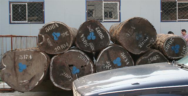 �c���鿴������̴�Ŵ�DƬ