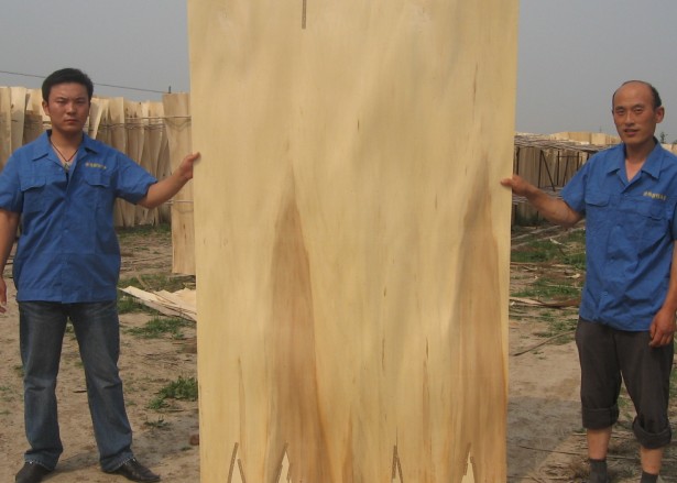 �c(di��n)���鿴��ľ�Ŵ�DƬ