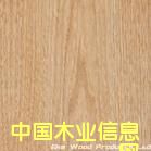 �ľɽ�y��Ԕ��(x��)��B