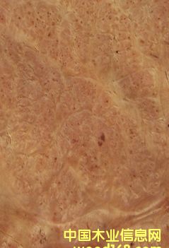 ɽ�����Ԕ��(x��)��B