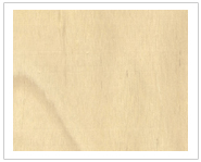 ����ľ��Ԕ��(x��)��B