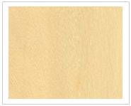 �z��ľ��Ԕ��(x��)��B