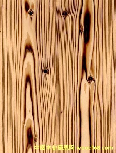 ����ľ��Ԕ��(x��)��B