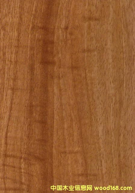 9020��ץ�y��Ԕ��(x��)��B