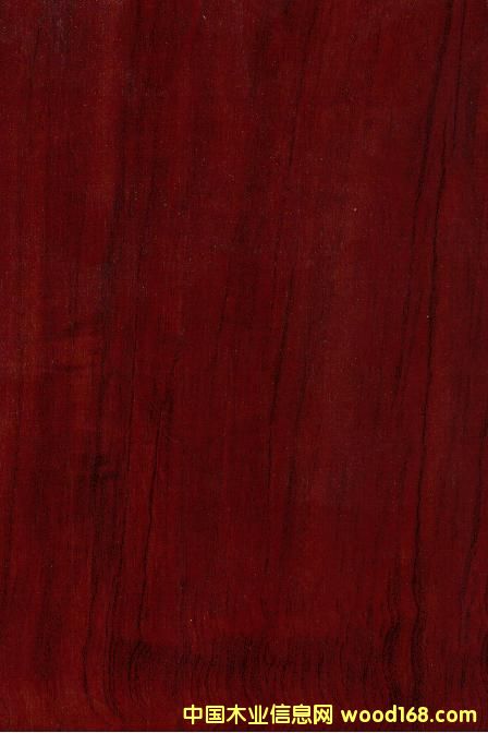 9012��ץ�y��Ԕ��(x��)��B