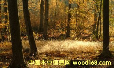 �����䣨ԭ���ϼ���ģ���Ԕ����B