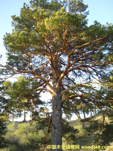 �sľ����ľ����������ľ����ľ��Ԕ����B