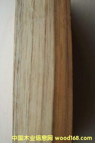 ����������ľ��Ԕ����B