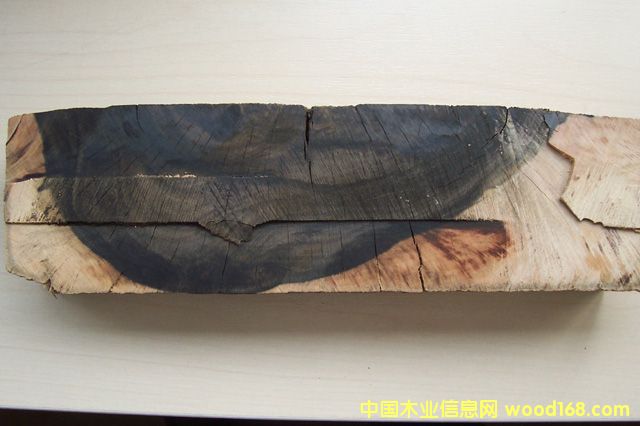 ����������ľ��Ԕ����B