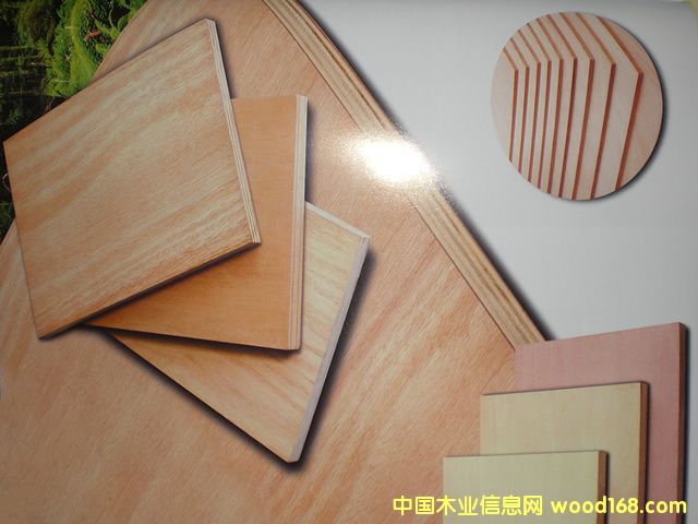 �c���鿴��(x��)ľ����Ŵ�DƬ