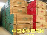 �c���鿴�����ں��Ұ�ķŴ�DƬ