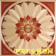 �c(di��n)���鿴NSF-F6-Hua001�Ŵ�DƬ