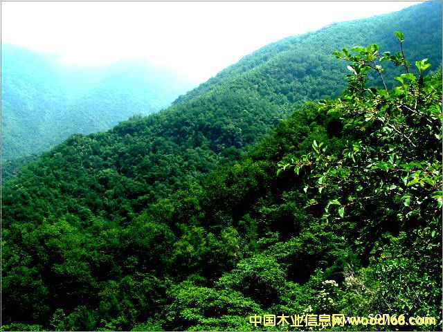 �c���鿴1000��/�·Ŵ�DƬ