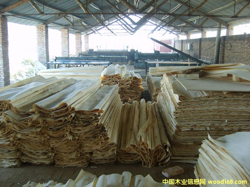 ��ľƤ��Ԕ��(x��)��B