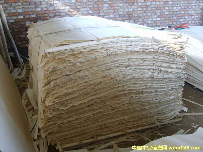 ��ľƤ��Ԕ��(x��)��B