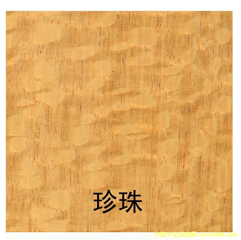 �����Ԕ����B