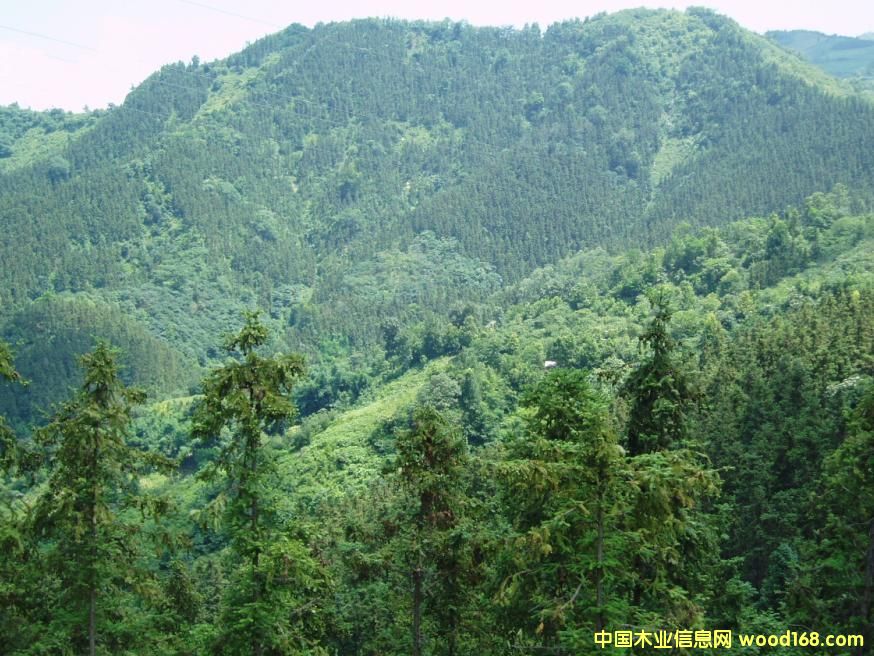 ��˾ɼľ�ֻ��ص�Ԕ��(x��)��B