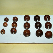 �c���鿴ľ��06�Ŵ�DƬ