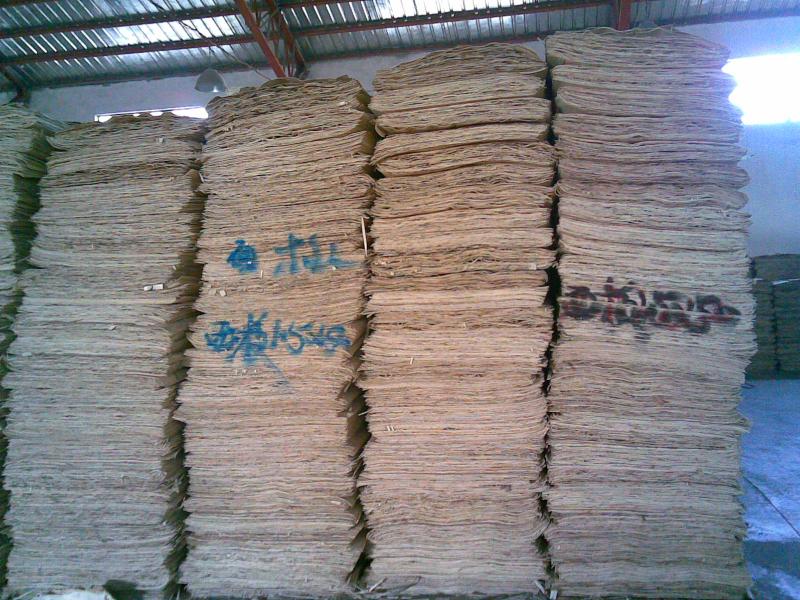 ��ľ�ΰ��Ԕ��(x��)��B