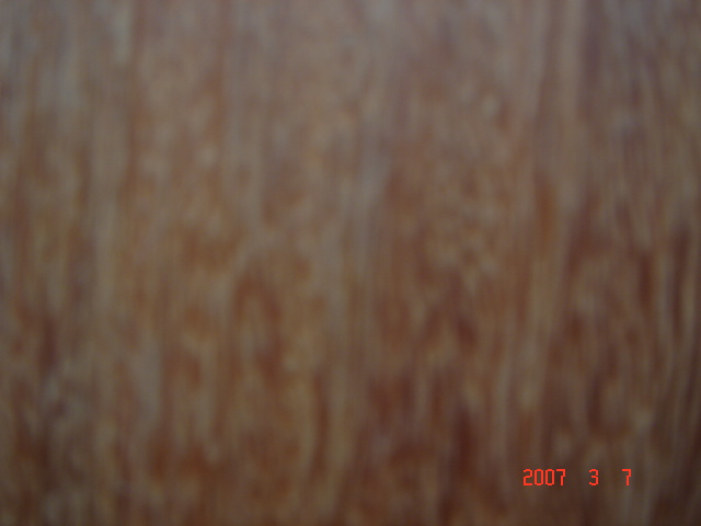 ���޼tľ��6��Ԕ����B