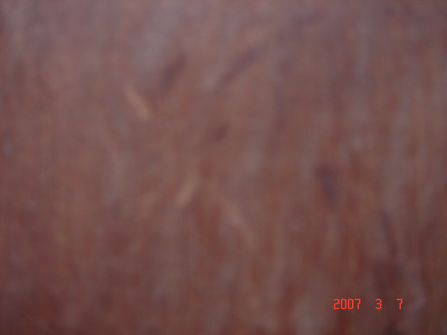 ���޼tľ��9��Ԕ����B