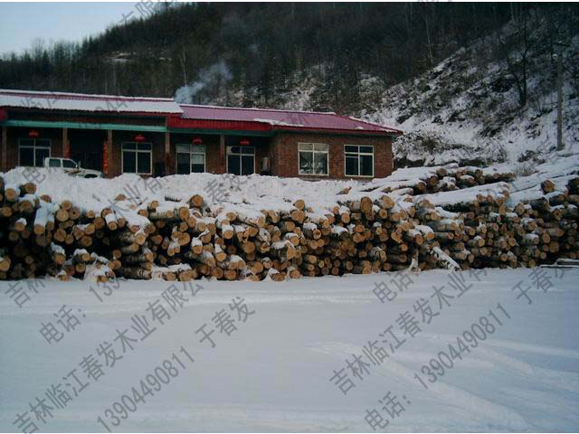 ��ľ��Ԕ��(x��)��B