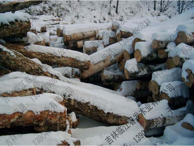 ��ľ ��ľ��Ԕ��(x��)��B