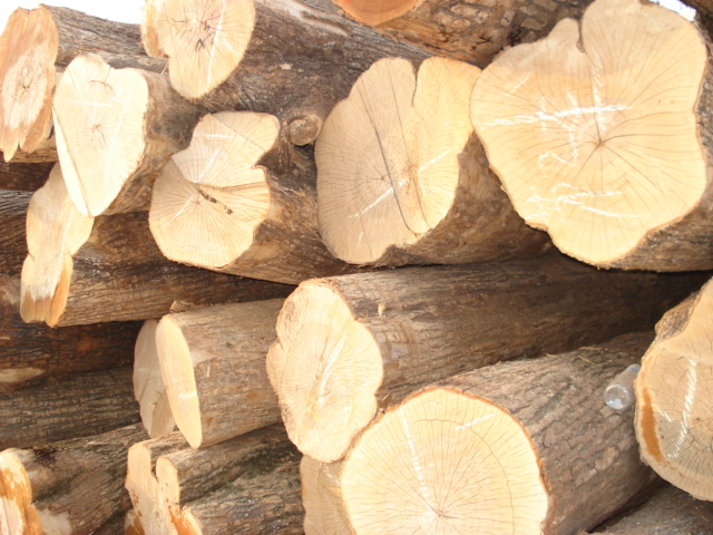 ��ľ����ľԭľ