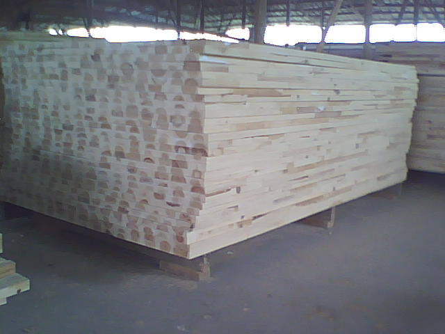 ɼľָ�Ӱ��Ԕ��(x��)��B