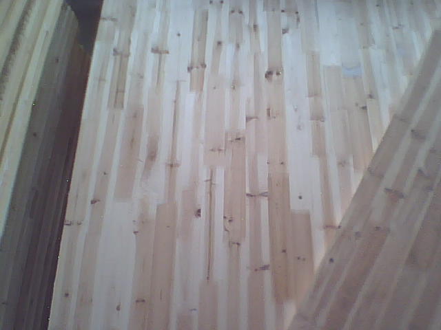 ɼľָ�Ӱ��Ԕ��(x��)��B