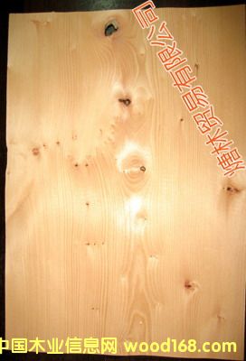 ��ɼľƤ��Ԕ��(x��)��B