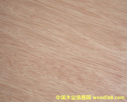 �c(di��n)���鿴���Ӱ�Ŵ�DƬ