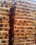 ���Ʒ��Ԕ��(x��)��B