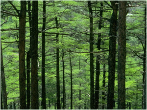 �c���鿴ɼľ�Ŵ�DƬ