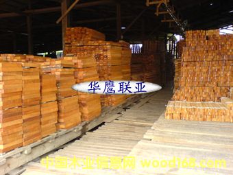 �����ĵ�Ԕ����B