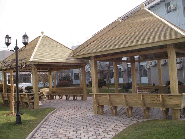 �W�޳��ɵ�Ԕ��(x��)��B