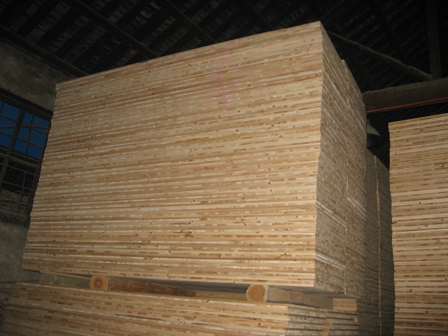 ɼľ�����z�ϰ��Ԕ��(x��)��B