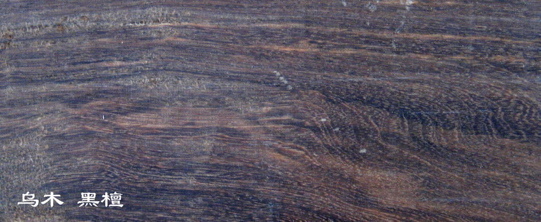 ��̴��Ԕ����B