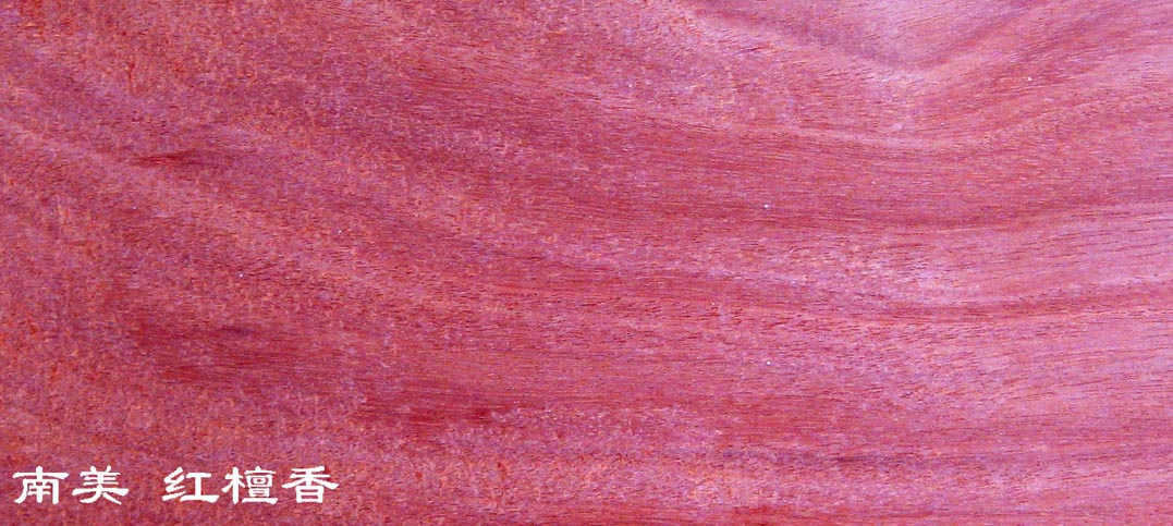 �t̴���Ԕ����B