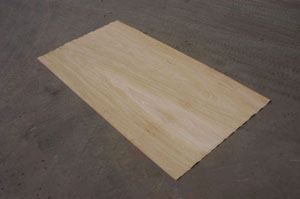 �c(di��n)���鿴2�Ŵ�DƬ