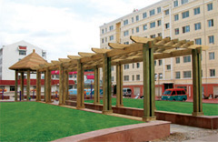 �ȼܷ���ľ��Ԕ��(x��)��B