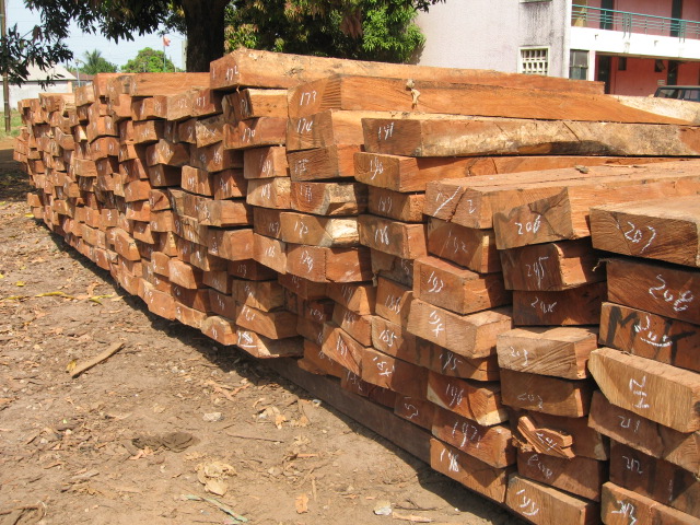 ����ľ��Ԕ��(x��)��B