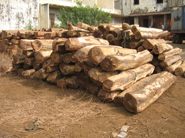 ����ԭľ��Ԕ��(x��)��B