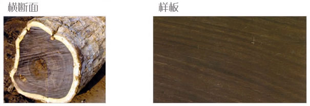 �|�Ǻ��S̴��Ԕ����B