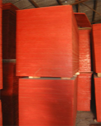 �c(di��n)���鿴����ģ��Ŵ�DƬ