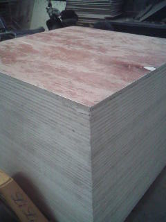 �бP��Ԕ��(x��)��B